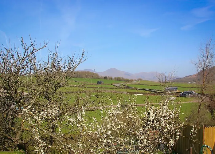 The Red Lion Penzion